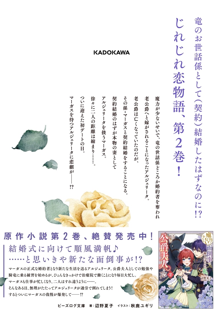 魔力がないからと面倒事を押しつけられた私、次の仕事は公爵夫人らしいです　２