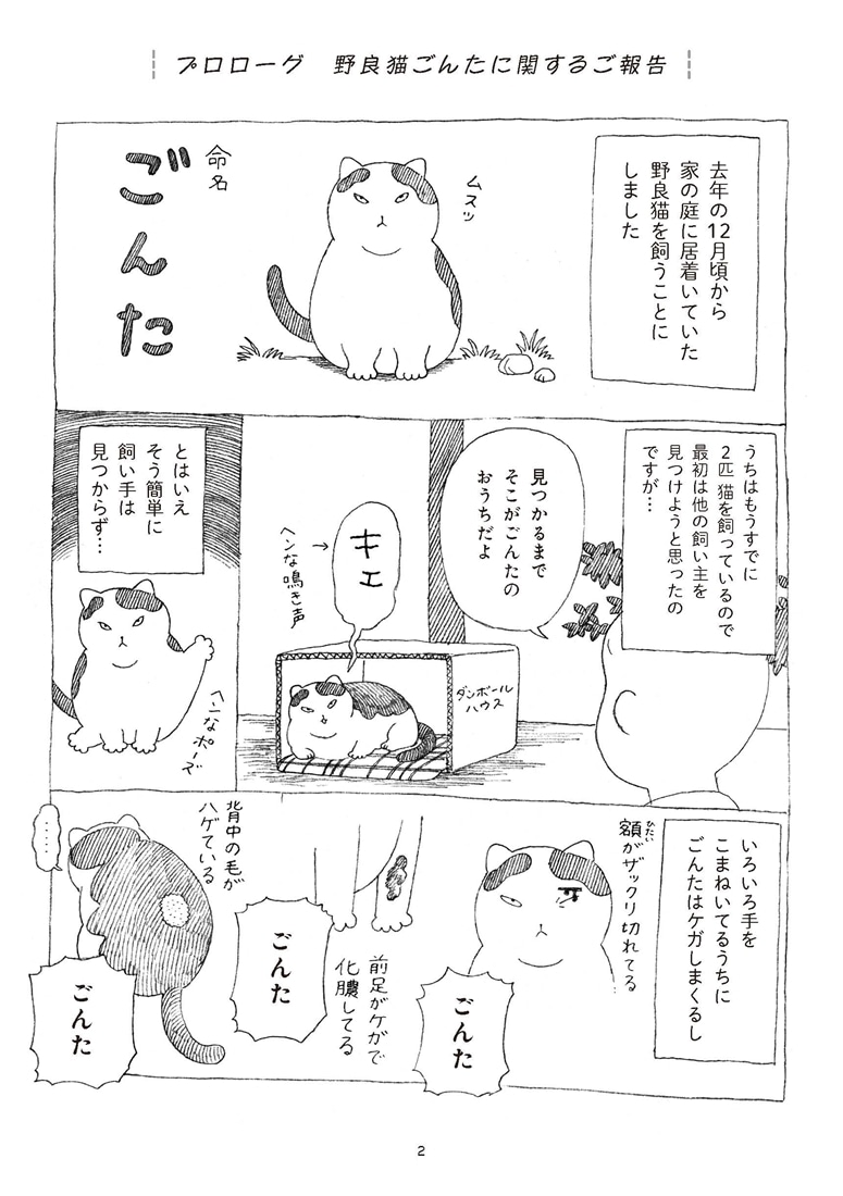 野良猫ごんた、家猫になる