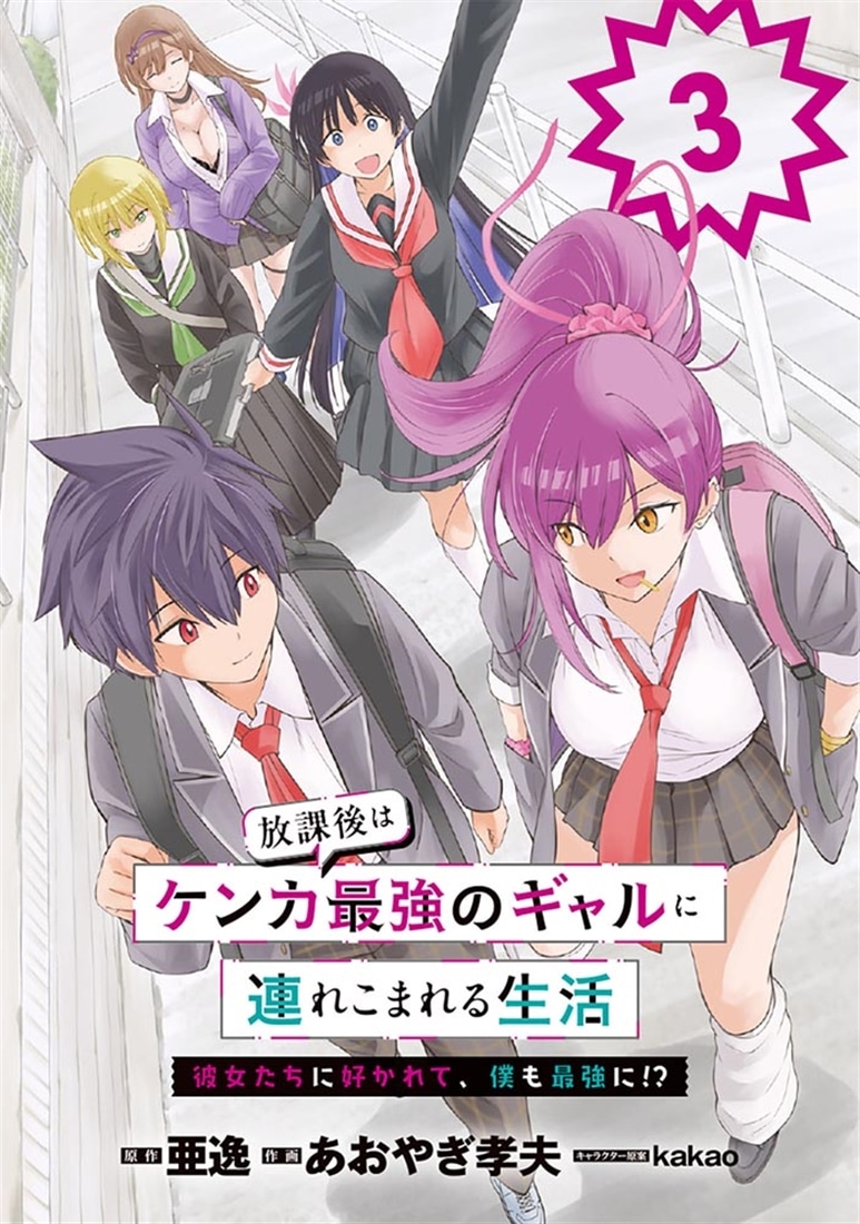 放課後はケンカ最強のギャルに連れこまれる生活　彼女たちに好かれて、僕も最強に!?　3