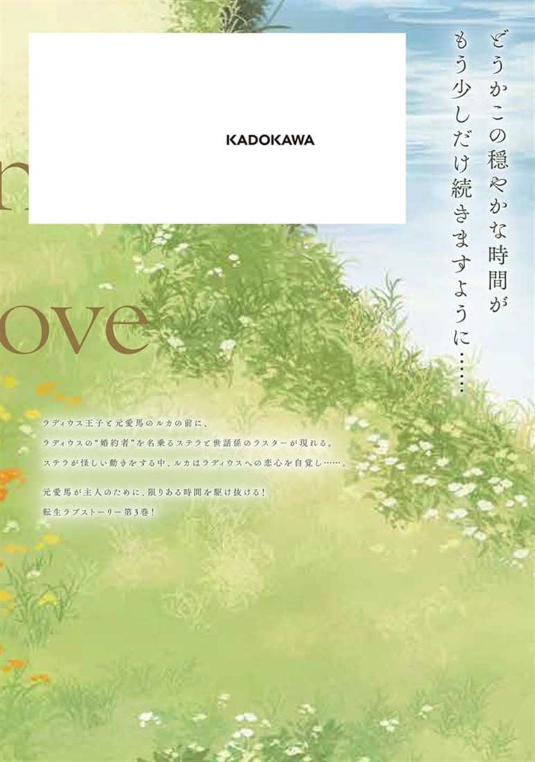 前世冷徹王子の馬でした ～人になっても貴方を愛していいですか？～ 3