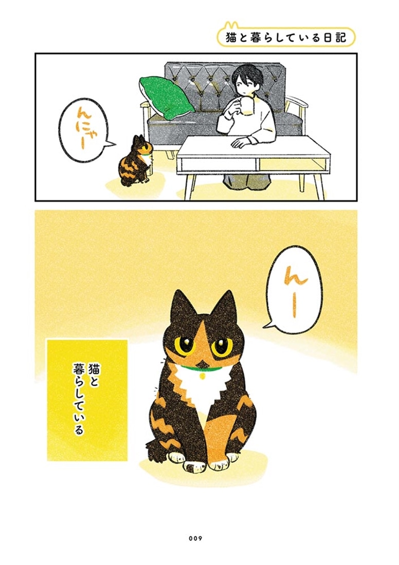 ひび猫にっき
