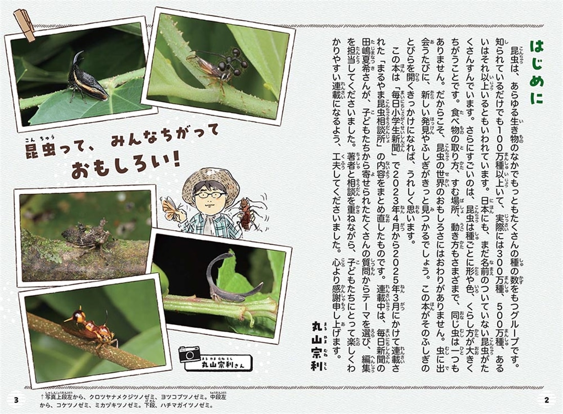 カブトムシって、しゃべるの？ 昆虫学者に聞いてみた！ 大人も知らない虫のひみつ