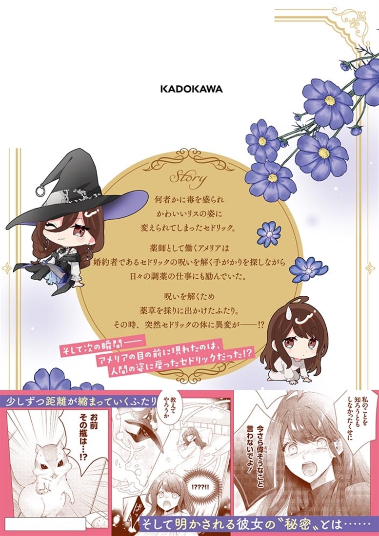 リスになってしまった婚約者が、毛嫌いしていたはずの私に助けを求めてきました。 ２