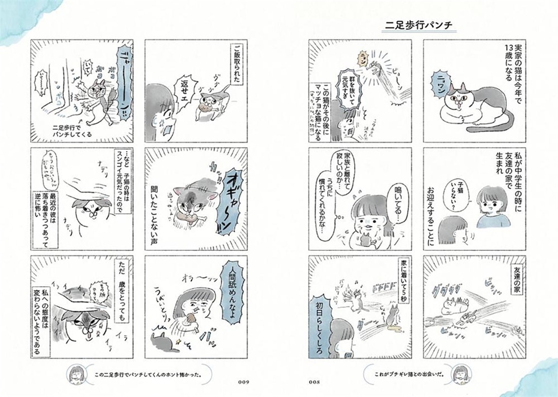 うちの猫は今日も塩対応