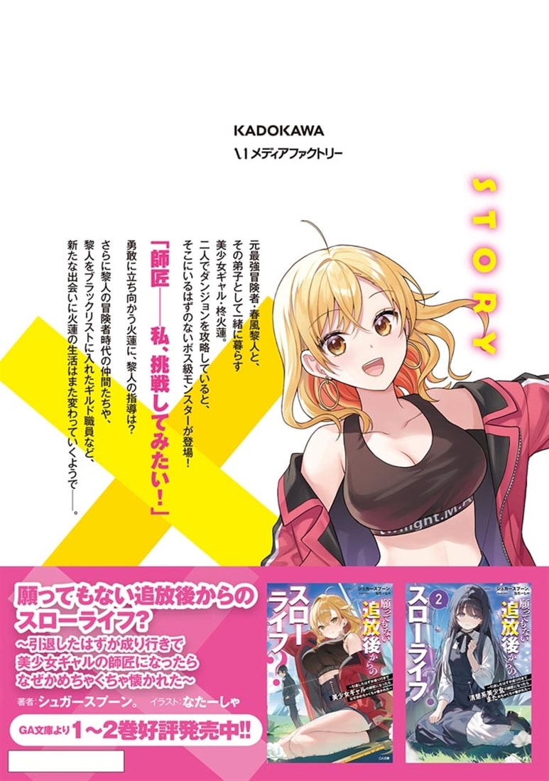 願ってもない追放後からのスローライフ？ ～引退したはずが成り行きで美少女ギャルの師匠になったらなぜかめちゃくちゃ懐かれた～　２