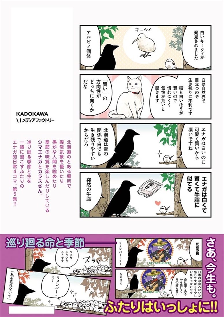 永久機関シマエナガ‐シマエナガとカラスさん‐ごはいめっ！