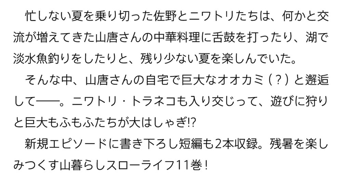前略、山暮らしを始めました。11
