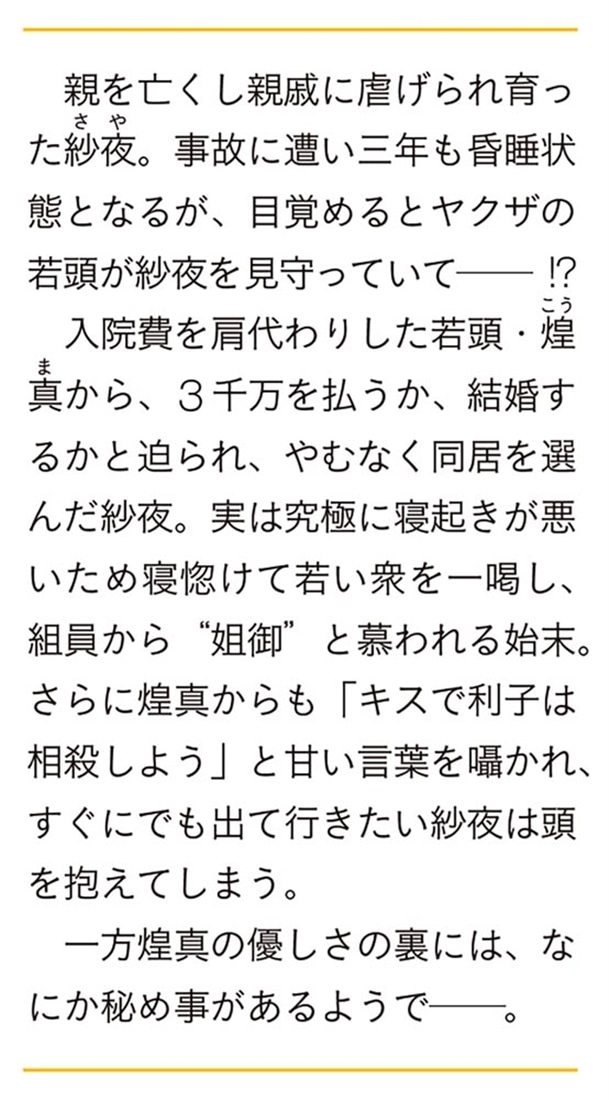 眠り姫は一途な若頭に溺愛されています 借金３千万のための婚約者生活