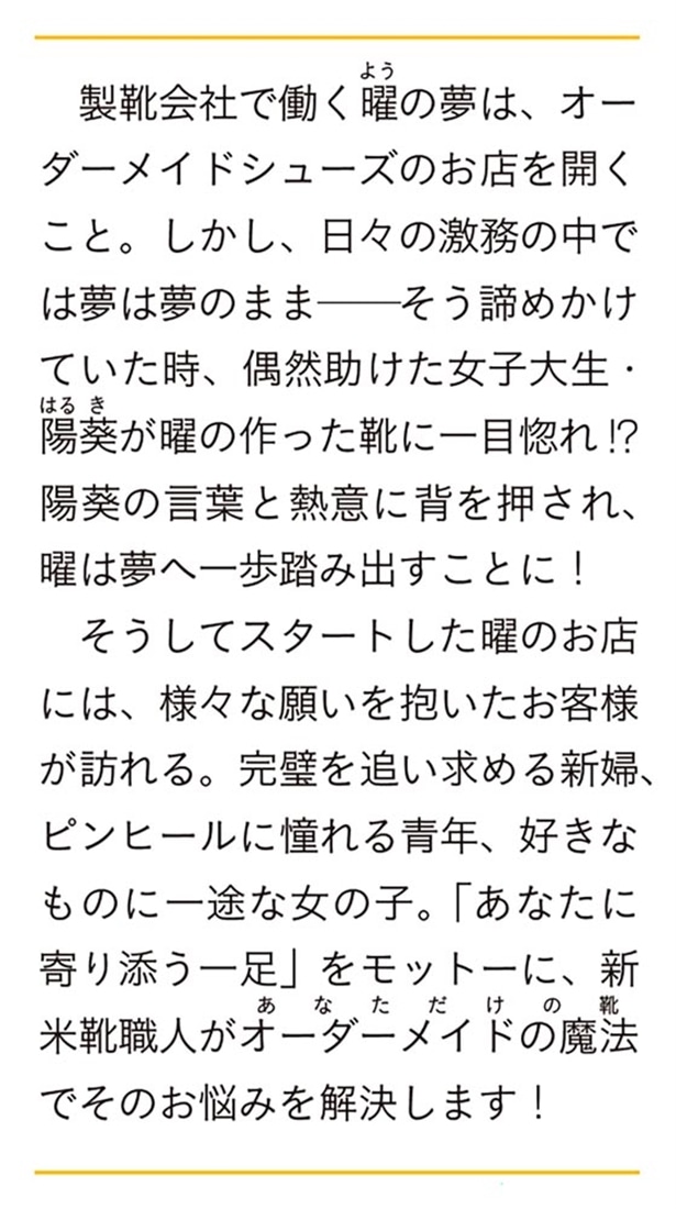 シンデレラの靴職人 ～理想の一足、お作りします～
