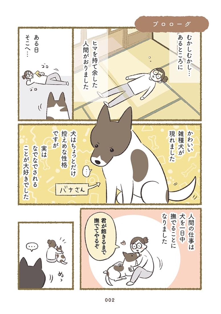 犬猫３匹、撫でても撫でても手が足りない