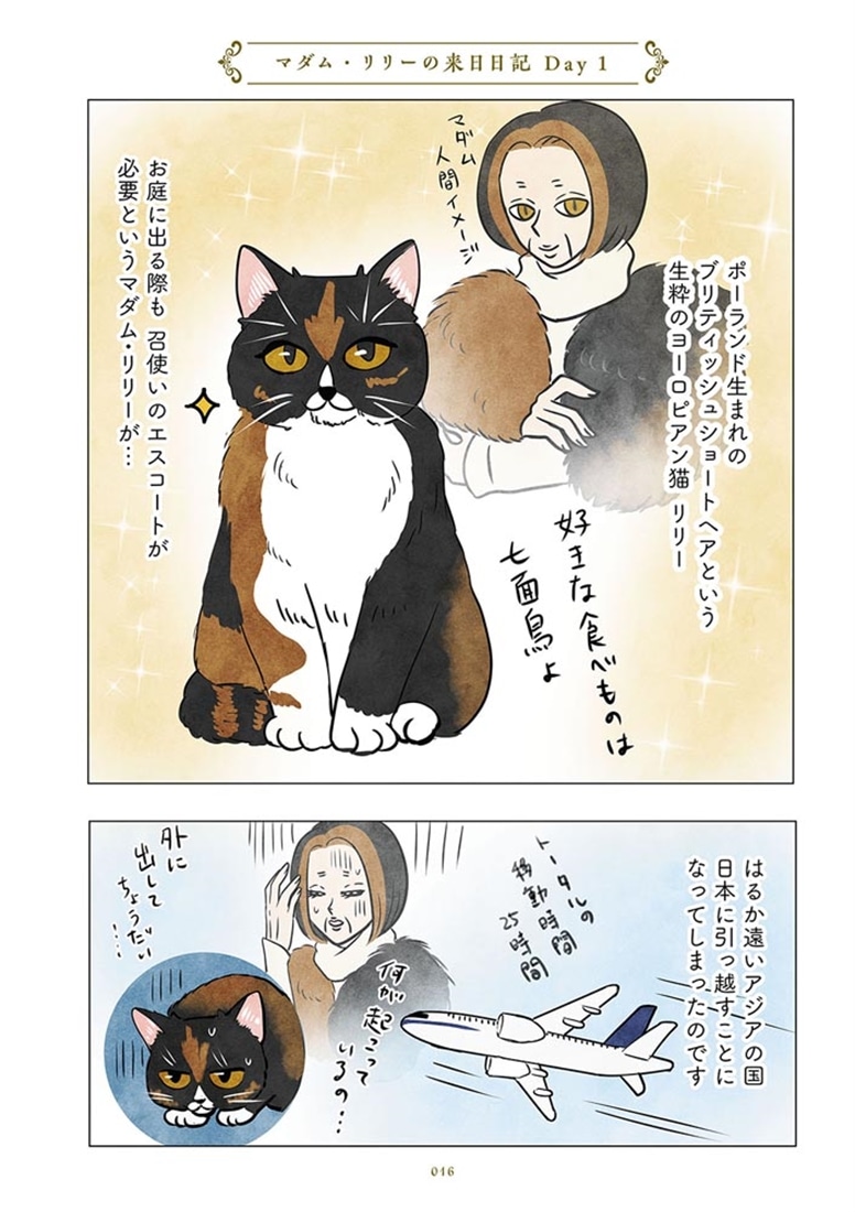 ポーランドからやってきた マダム猫の古民家暮らし