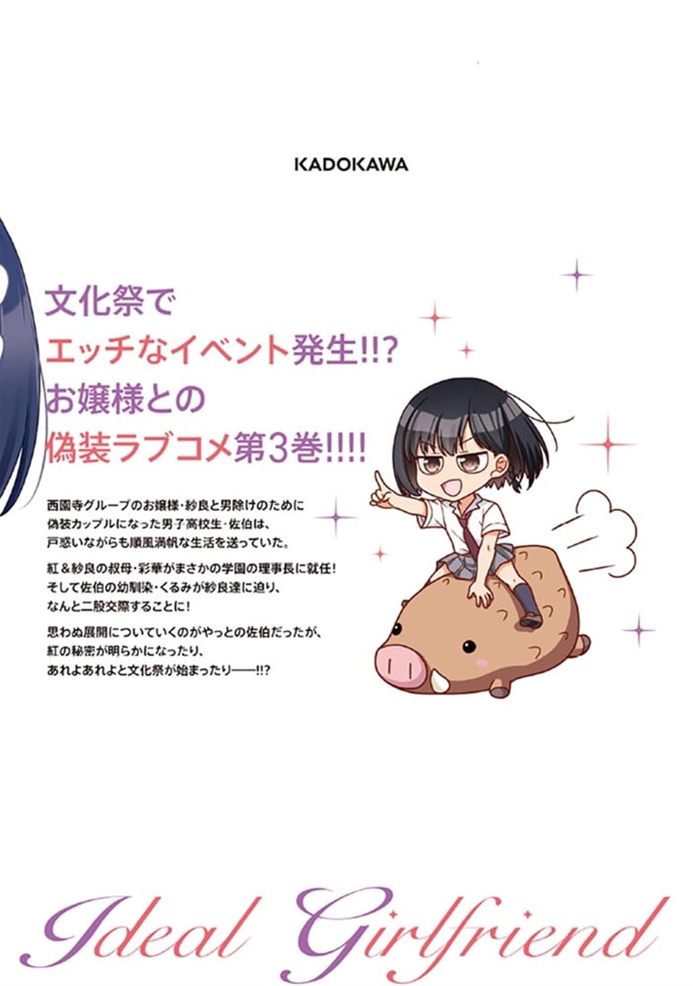 理想の彼女 3