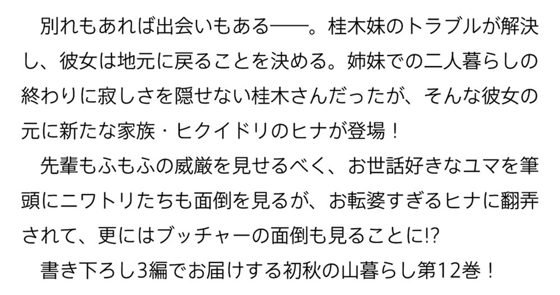 前略、山暮らしを始めました。12