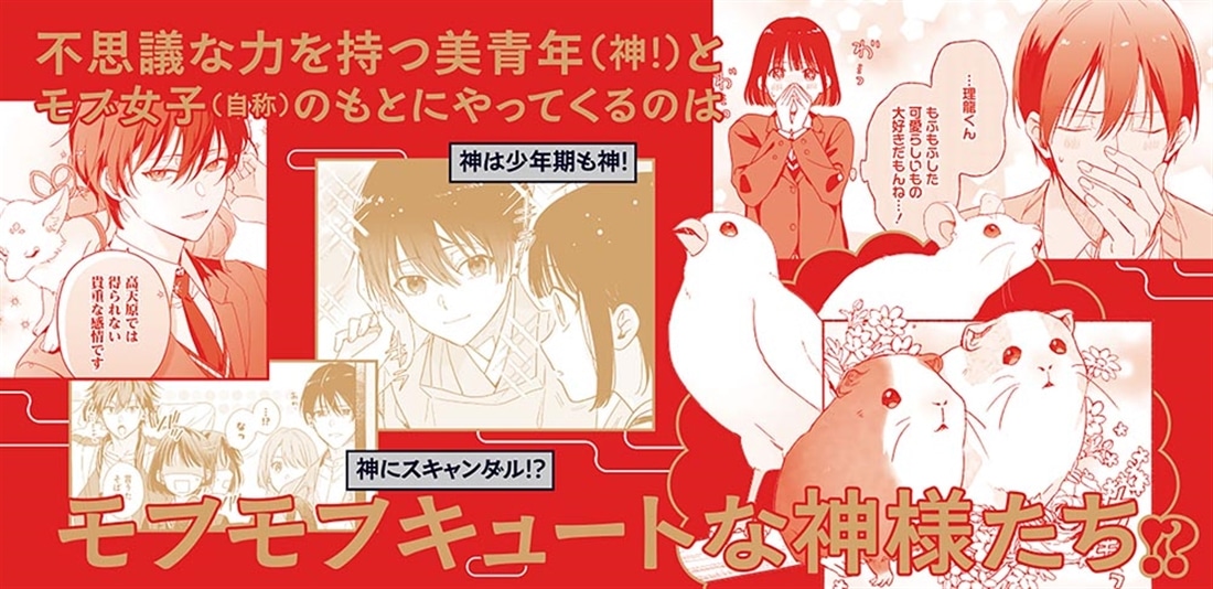京都下鴨 神様のいそうろう１