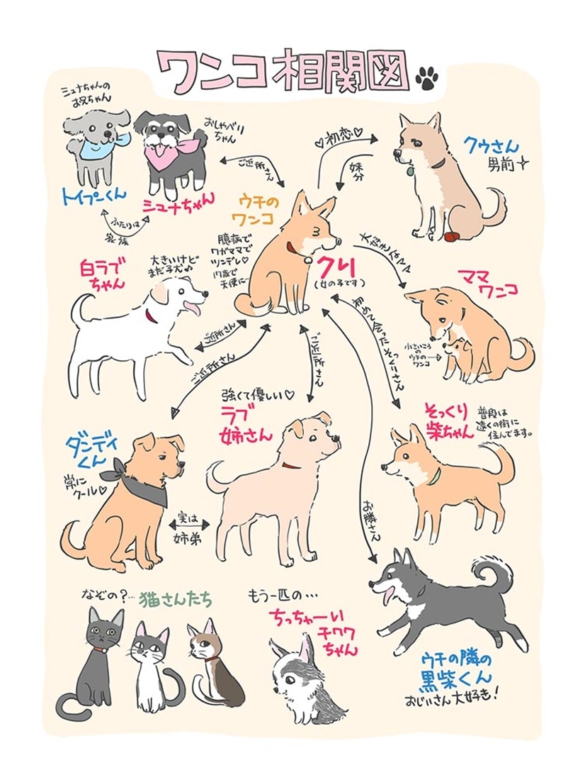 老いゆく愛犬と暮らしたかけがえのない日々 ワンコ17歳　２