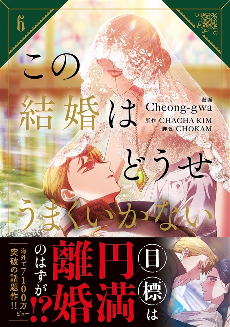 この結婚はどうせうまくいかない　６