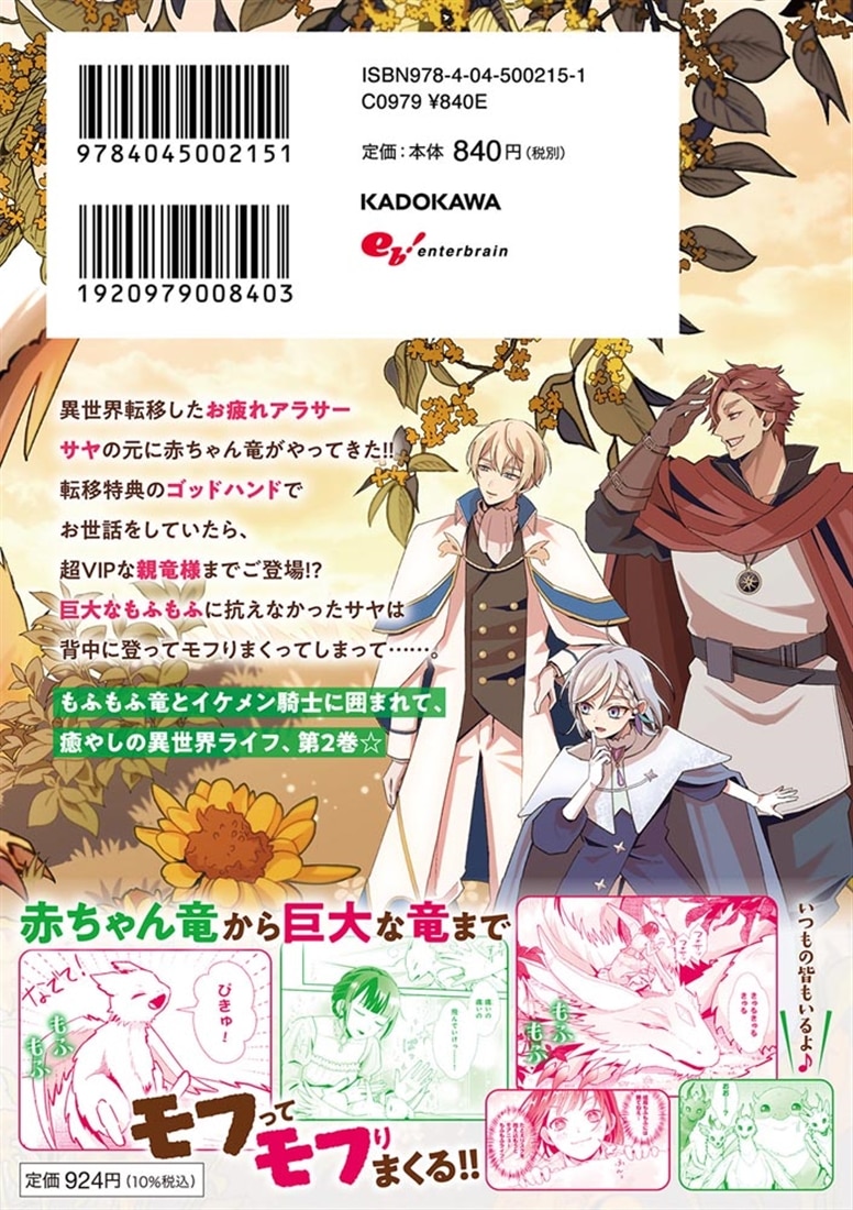 お疲れアラサーは異世界でもふもふドラゴンと騎士の世話をしています 2