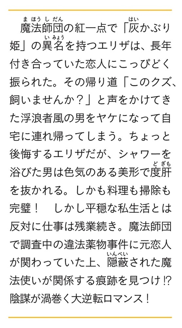 魔法師団の灰かぶり姫 極上の野良犬が押しかけペットになりまして