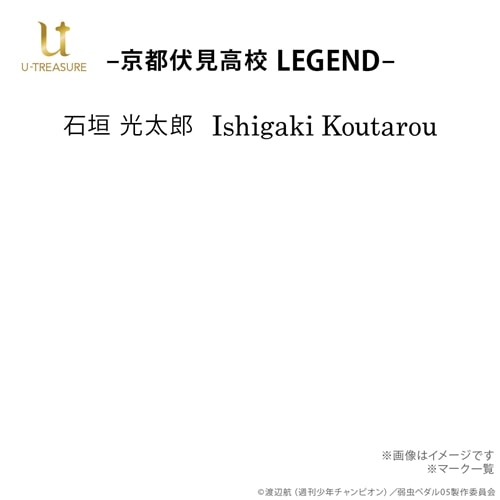 『弱虫ペダル』10周年記念リング 京都伏見高校 プラチナ950 岸神 小鞠