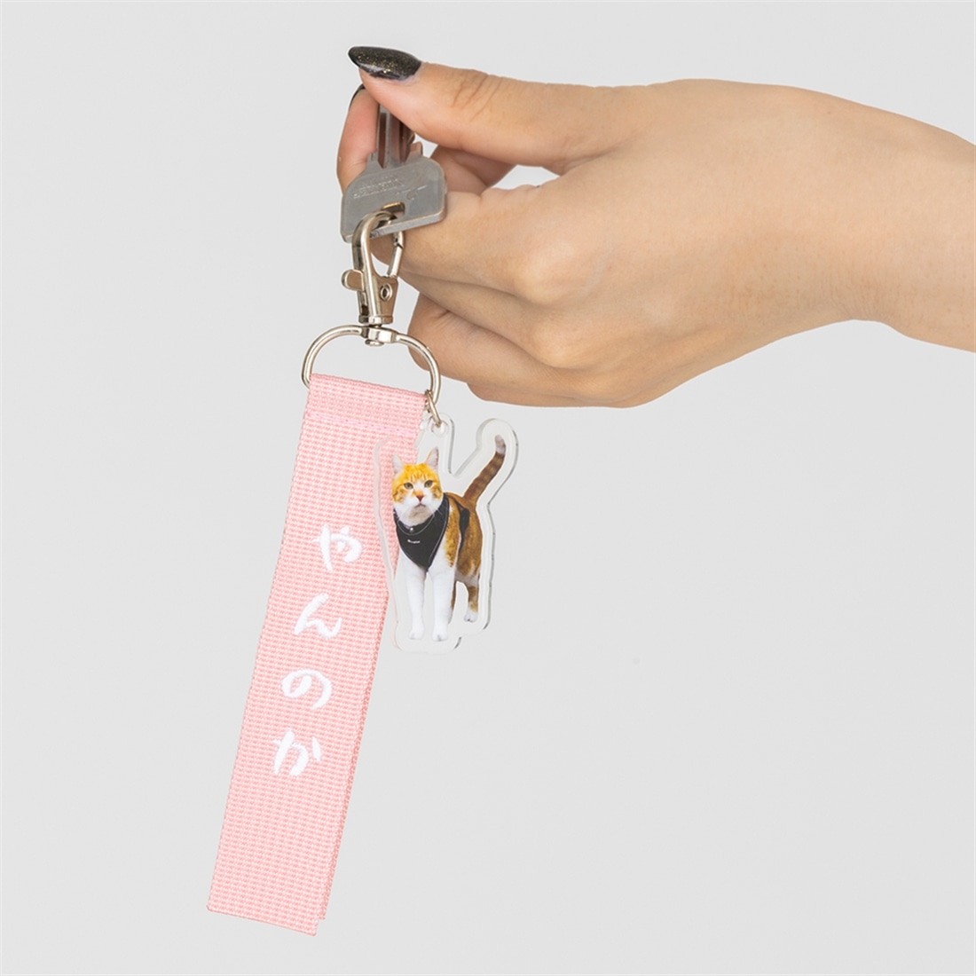 激レア　新品未開封/限定特典セット86 ミニキャラSDアクリルチャーム　非売品 元野良猫チャチャ ミニトートバッグ＆ストラップ付アクリル