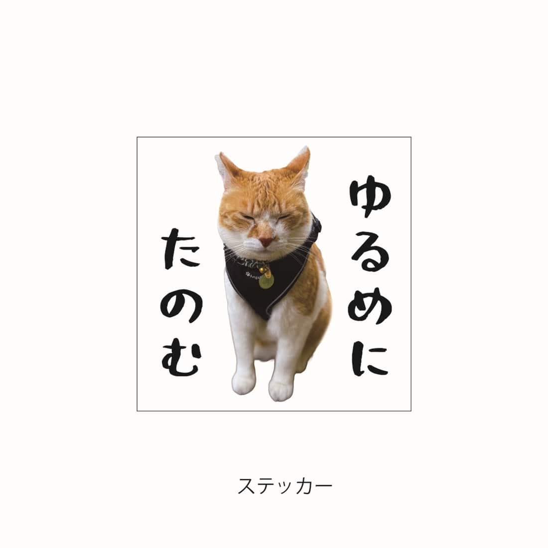 元野良猫チャチャ ミニトートバッグ＆ストラップ付アクリル