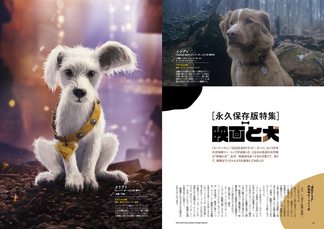 DVD＆動画配信でーた　２０２６年７月号