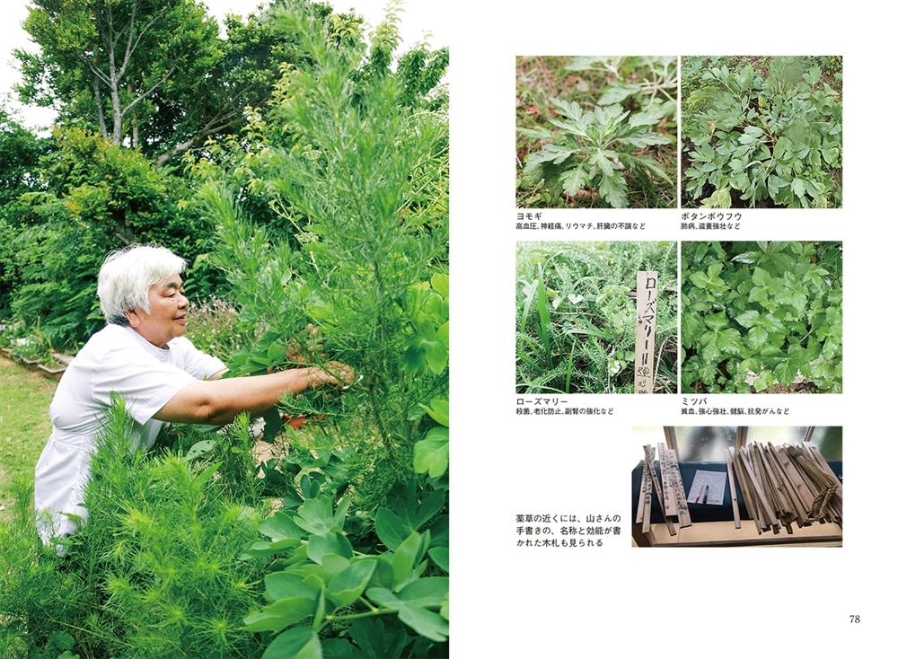 与論島の山さん 薬草に捧げた人生と幸せな終末へのメッセージ