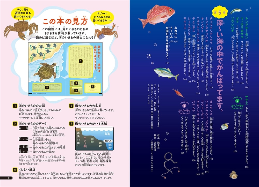 海でギリギリ生き残ったらこうなりました。 進化のふしぎがいっぱい！海のいきもの図鑑