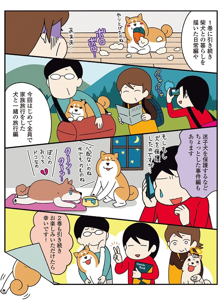 ドヤ顔柴犬どんぐり２