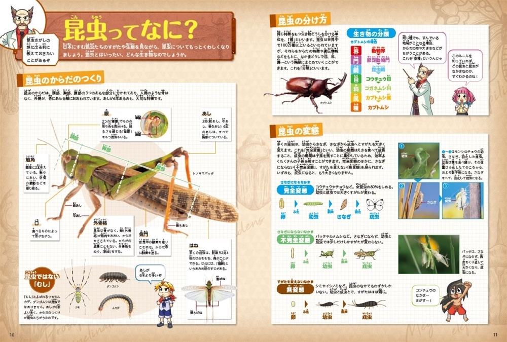 角川の集める図鑑ＧＥＴ！ 昆虫