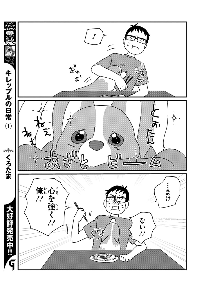 あしょんでよッ　～うちの犬ログ～　（8）