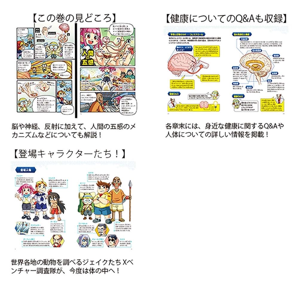 どっちが強い!? からだレスキュー(３) バチバチ五感＆神経編