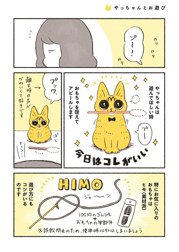 茶トラのやっちゃん