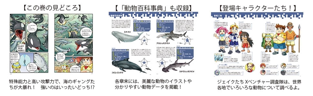 どっちが強い!? シャチvsシュモクザメ 恐怖！海の殺し屋対決