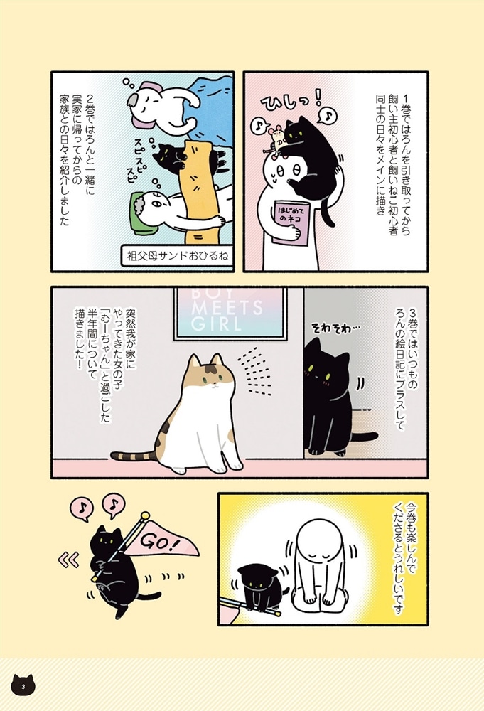 黒猫ろんと暮らしたら３