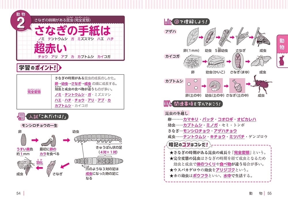 改訂版　中学受験　ここで差がつく！　ゴロ合わせで覚える理科１００