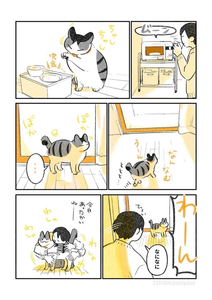 じじ猫くらし２