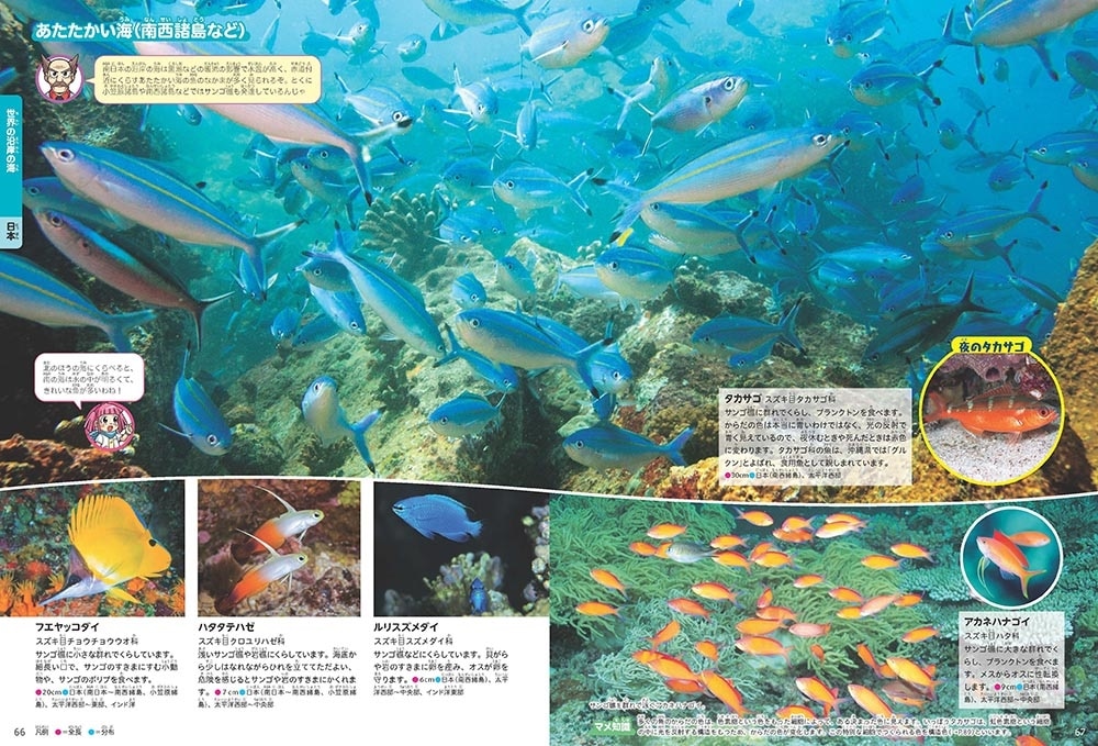 角川の集める図鑑ＧＥＴ！ 魚