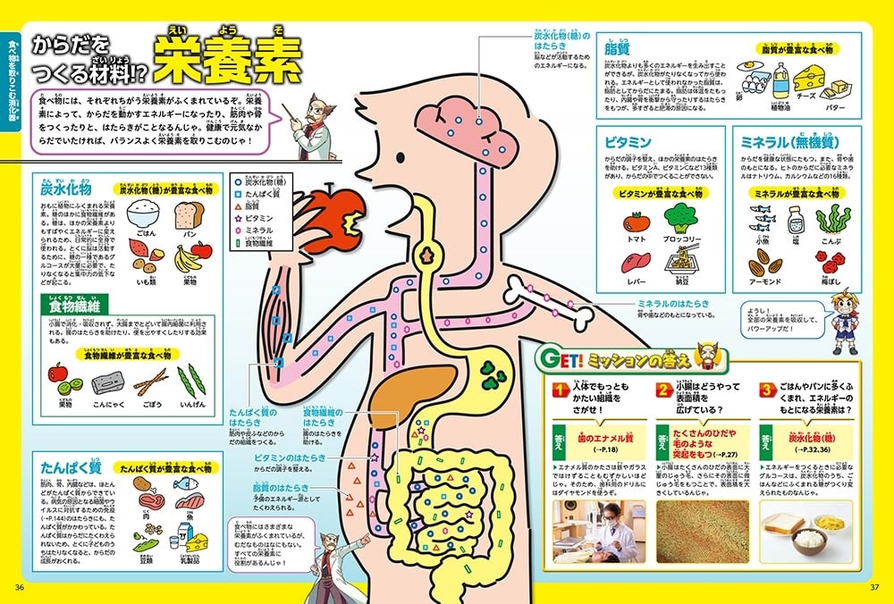 角川の集める図鑑ＧＥＴ！ 人体