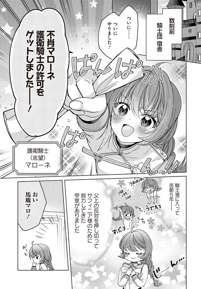 偽り姫の仮護衛!? ワンコ系少女騎士はワケあり主に（密かに）溺愛されています （１）