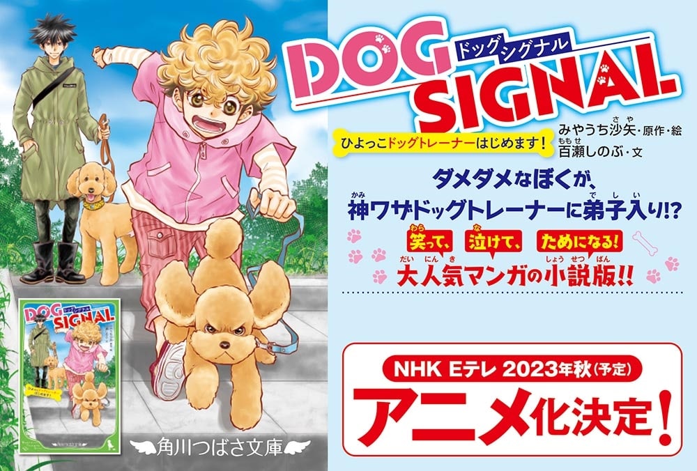 DOG SIGNAL ひよっこドッグトレーナーはじめます！