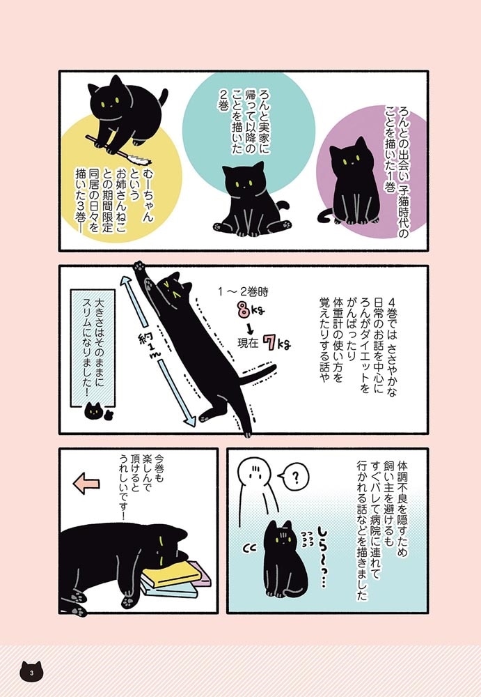 黒猫ろんと暮らしたら４