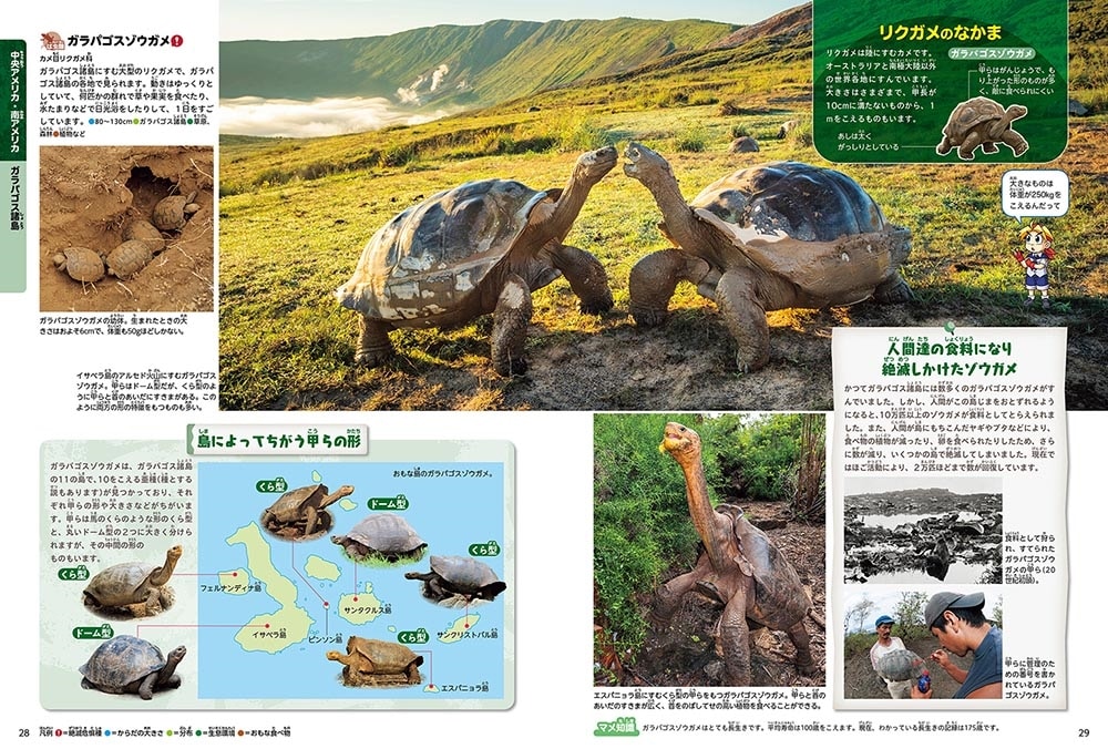 角川の集める図鑑ＧＥＴ！ は虫類・両生類