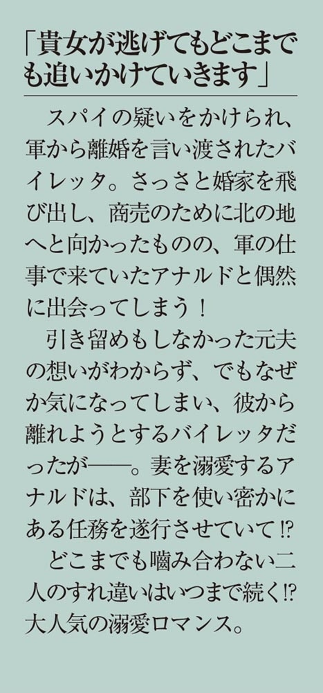 拝啓見知らぬ旦那様、離婚していただきますII〈下〉