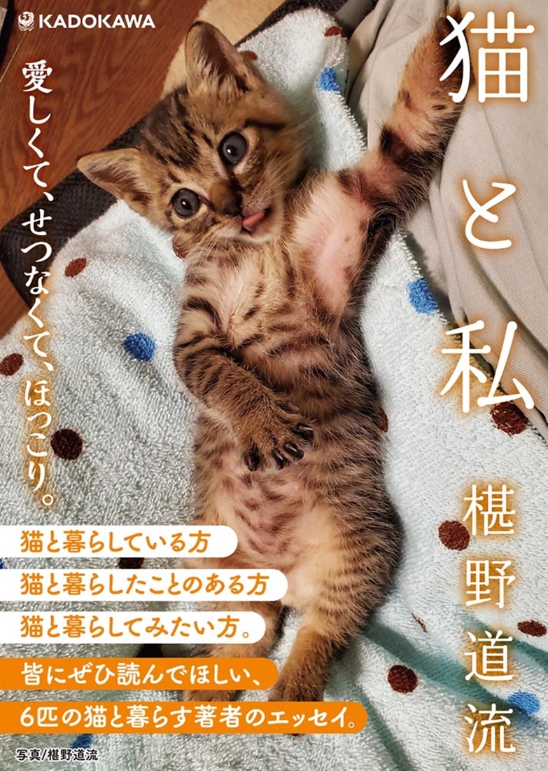 猫と私