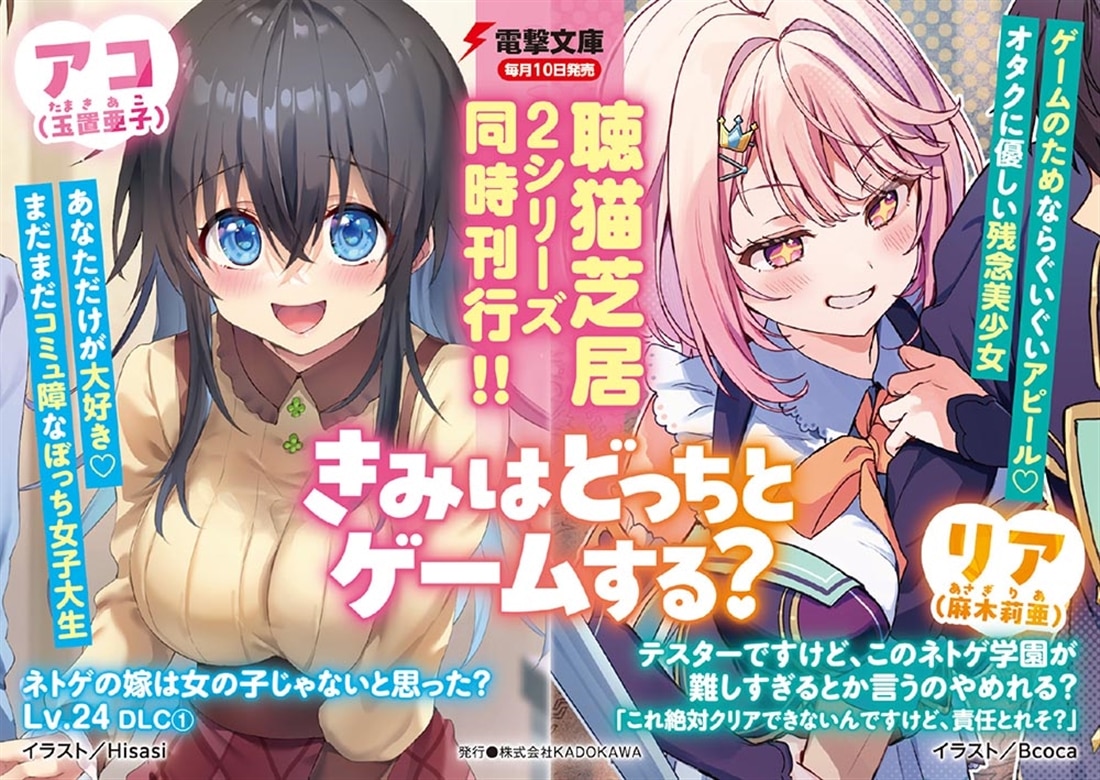 ネトゲの嫁は女の子じゃないと思った？　Lv.24 DLC(１)