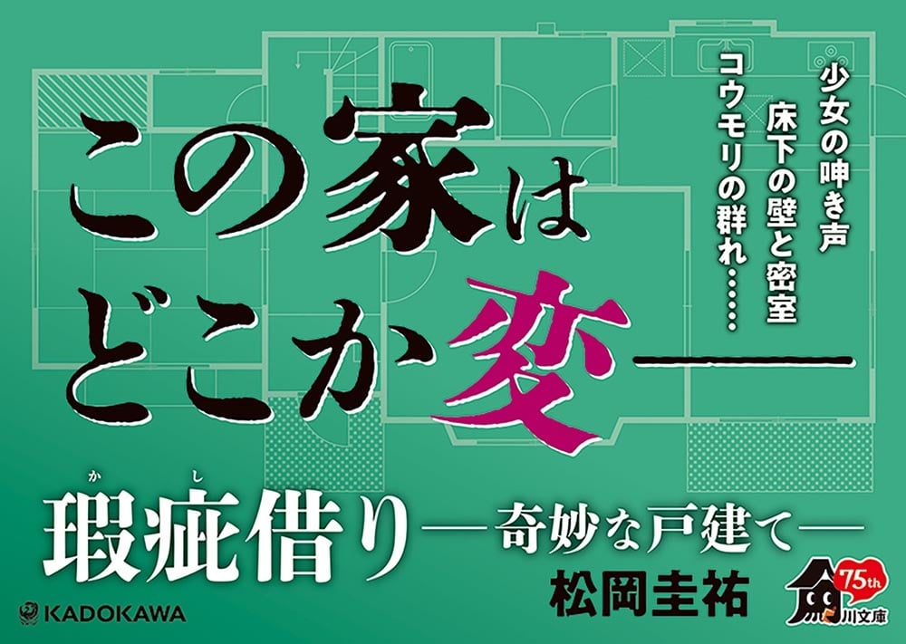 瑕疵借り　‐‐奇妙な戸建て‐‐