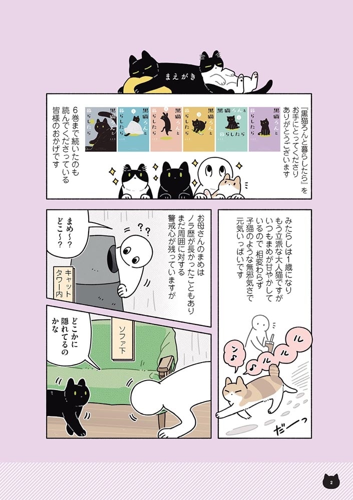 黒猫ろんと暮らしたら６