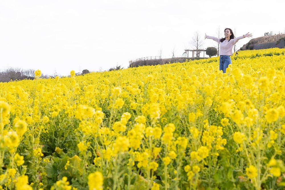 関西ウォーカー2025春 ウォーカームック
