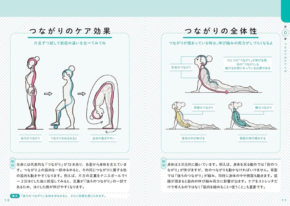 世界一わかりやすい 筋肉のつながり図鑑セルフケア編